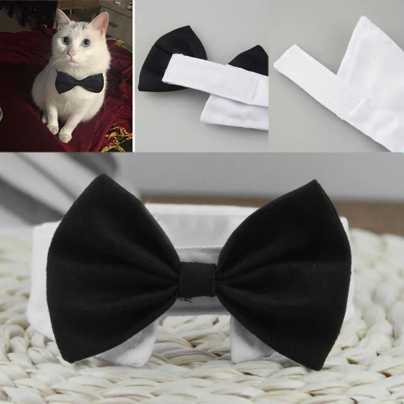 Adjustable Pet Bow Tie Collar for Small Dogs and Cats